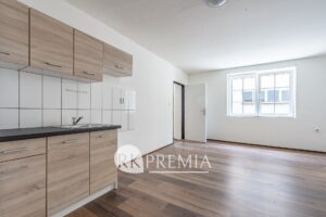 nabizi-prodej-cinzovni-dum-vaclavske-namesti-78-13-trmice-dsc6498-6a06b7