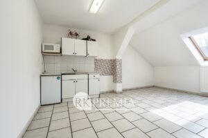 5Foto_Prodej výrobního areálu_Myslbekova