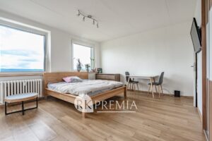 3_Prodej 1kk_Krušnohorská
