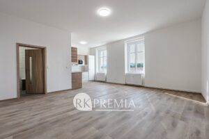 pronajem-3-kk-teplice-28-rijna-dsc0966-350c6f